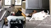 Cães invadem ambulância e fazem vigília em UPA para aguardar seu tutor