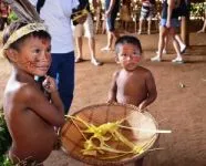Exposição e Seminário em celebração ao Dia dos Povos Indígenas